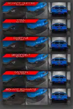 EGO-X - 3 inch RVS Sportuitlaat met klep - Ford Mustang VI 2.3 EcoBoost - HGBXAGAFO10
